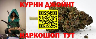 сатива Бузулук