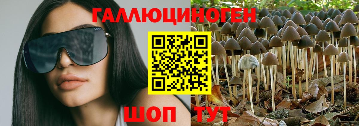 Псилоцибиновые грибы Psilocybine cubensis  Галлюциногенные грибы мухоморы  Норильск  Вход с VPN 